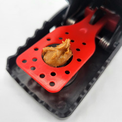 Appât placé sur le mécanisme de la tapette à souris KOMODO