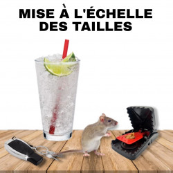 Mise à l'échelle des tailles