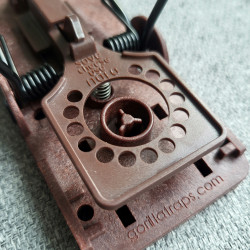 Tapette à souris Gorilla Traps