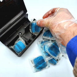 Mise en place de la pâte raticide AKANOID dans une boite sécurisée pour souris
