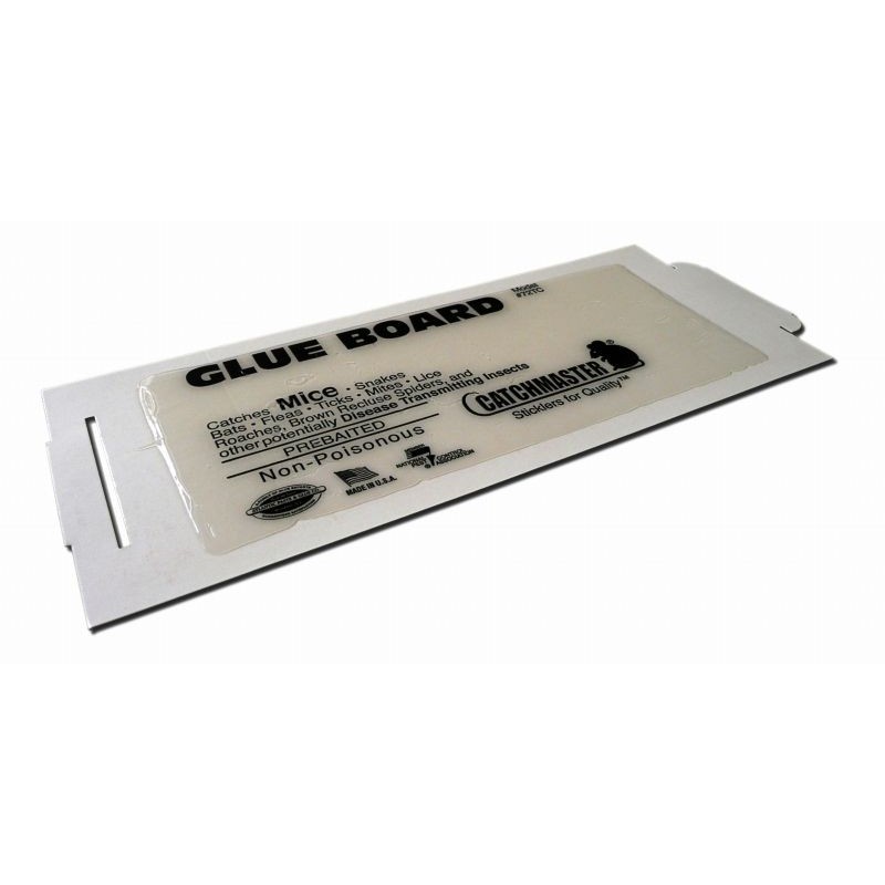 Plaque de glu pour souris avec attractif