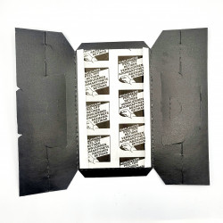 Piège anti cafard MASTER TRAP+ ouvert avec film de protection masquant la glu