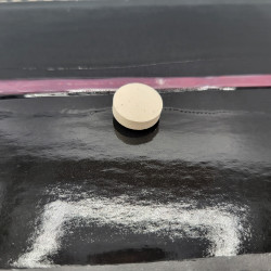 Zoom sur le comprimé alimentaire placé au centre du piège anti cafard MASTER TRAP+