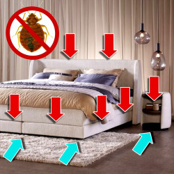 Emplacement pour piège de détection professionnel anti punaise de lit CIMEXCATCH®