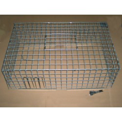 Cage à pigeons multi-capture