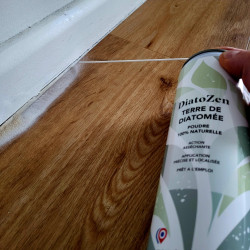 Application du spray DIATOZEN® terre de diatomée contre les puces dans une plinthe de parquet