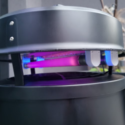 Lampe UV du piège à moustique FLORIDA, attire les moustiques le soir venu