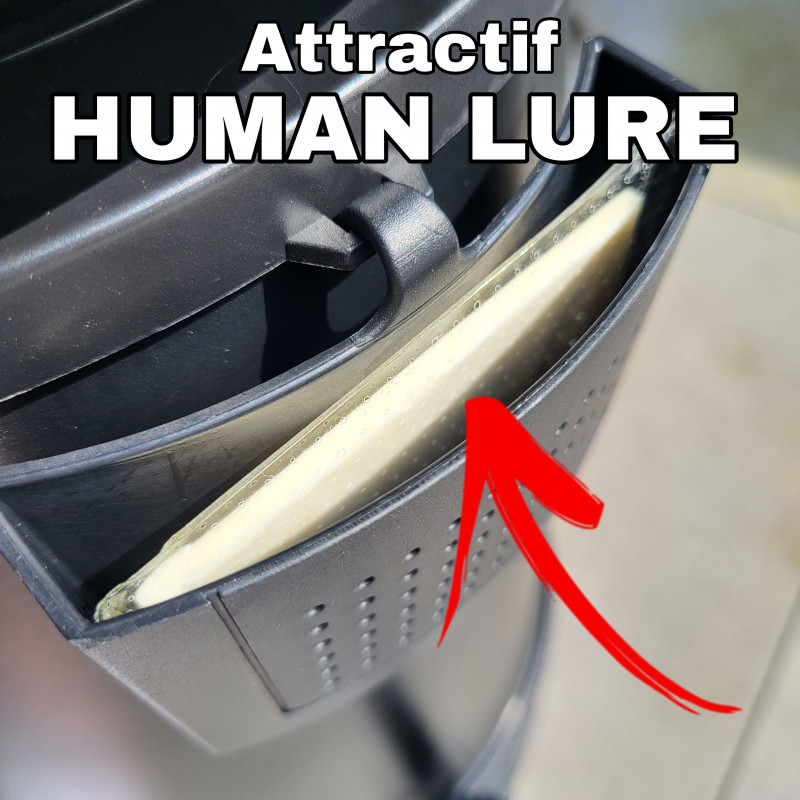 Attractif moustique pour piège FLORIDA dans son emplacement sur le piège BAT TRAP