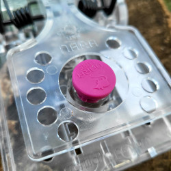 Appât NARA LURE arôme viande dans son emplacement sur une tapette à rat Gorilla Traps transparente