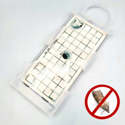 Placez PYRO NET entre les aliments du garde-manger pour lutter envers les mites alimentaires.