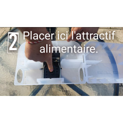 Placer l'attractif alimentaire dans le piège à rat sécurisé "sécuriposte"