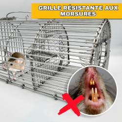 Grille en métal résistante aux morsures des musaraignes