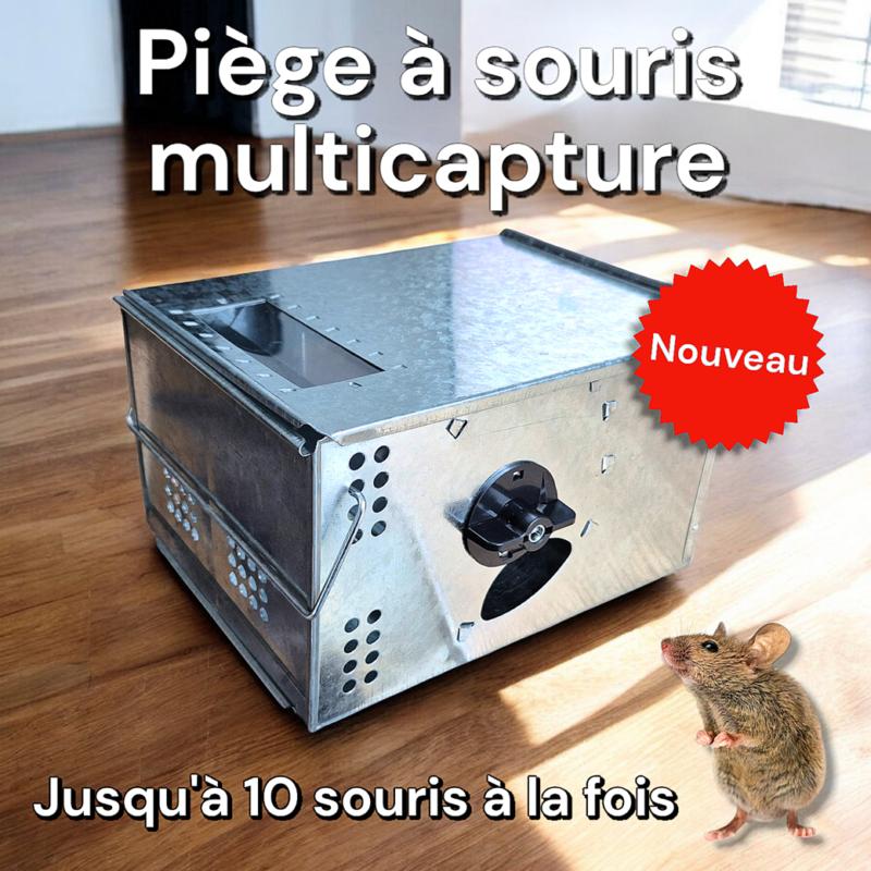 Piège à souris multicapture CATAPULTE