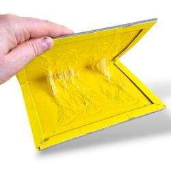 Plaque de glu ouverture livre