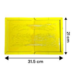 Dimensions de la plaque engluée pour rongeurs