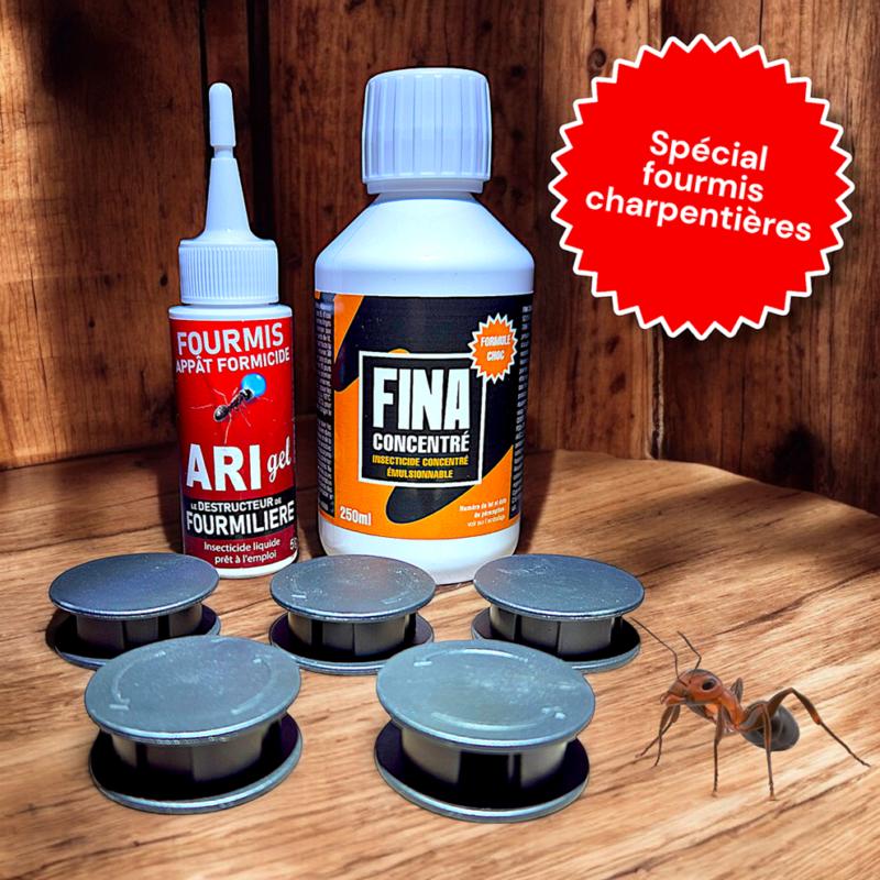 Pack traitement fourmis charpentières