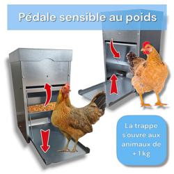 Mangeoire à trémie anti nuisibles : Pédale sensible au poids