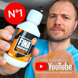 Fina concentré anti cafard : testé & validé par votre expert anti nuisibles