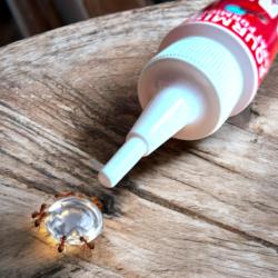 Les fourmis s'agglutinent autour de la goutte de ARI GEL