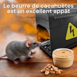 Piège à rats & souris électrique pour rats et souris avec appât