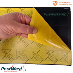 La recharge de plaque de glu Pestwest pour la gamme Chameleon est toujours de couleur noire.