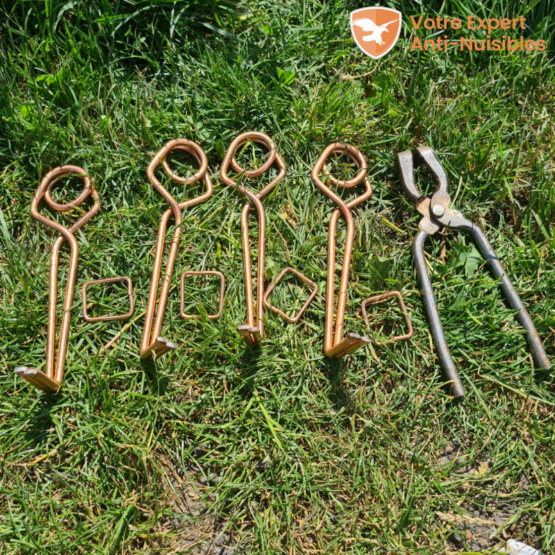 Lot de 4 pièges à taupes avec une clé et tendeurs.