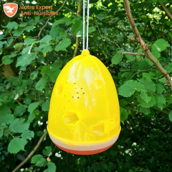 Piège à guêpes professionnel VESPA TRAP suspendu à une branche