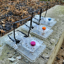 Lot 3 tapettes à rat Gorilla Traps transparentes avec appâts NARA.