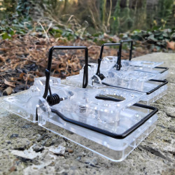 Lot de 3 tapettes à rat Gorilla Traps transparentes.