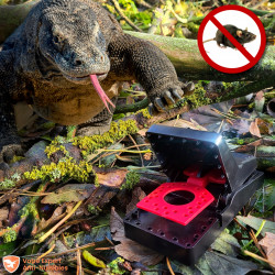 Tapette à rat sur-puissante Mâchoire KOMODO