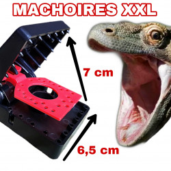 Dimensions de la mâchoires du piège à rat Komodo