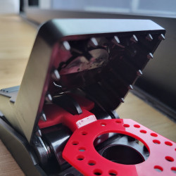 Rangées de dents pointues sur tout le tour de la mâchoire