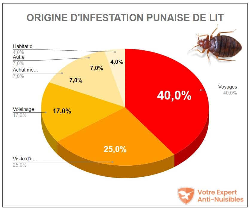 Statistiques sur l'origine de l'infestation par la punaise de lit