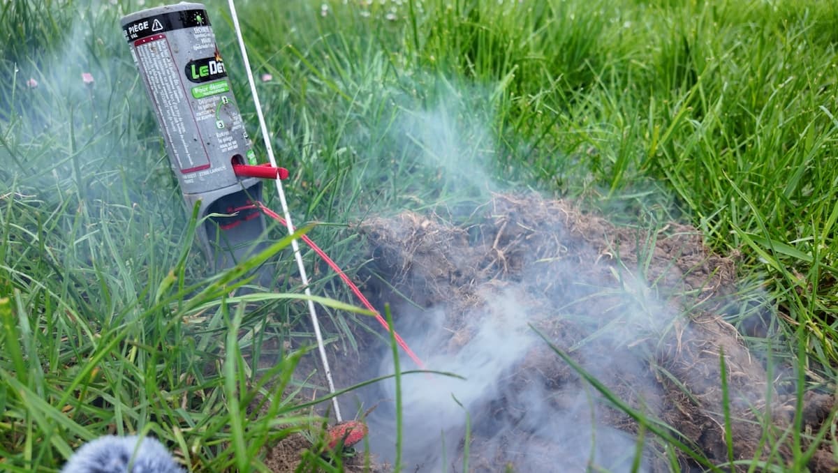 Pétard Détaupeur après explosion