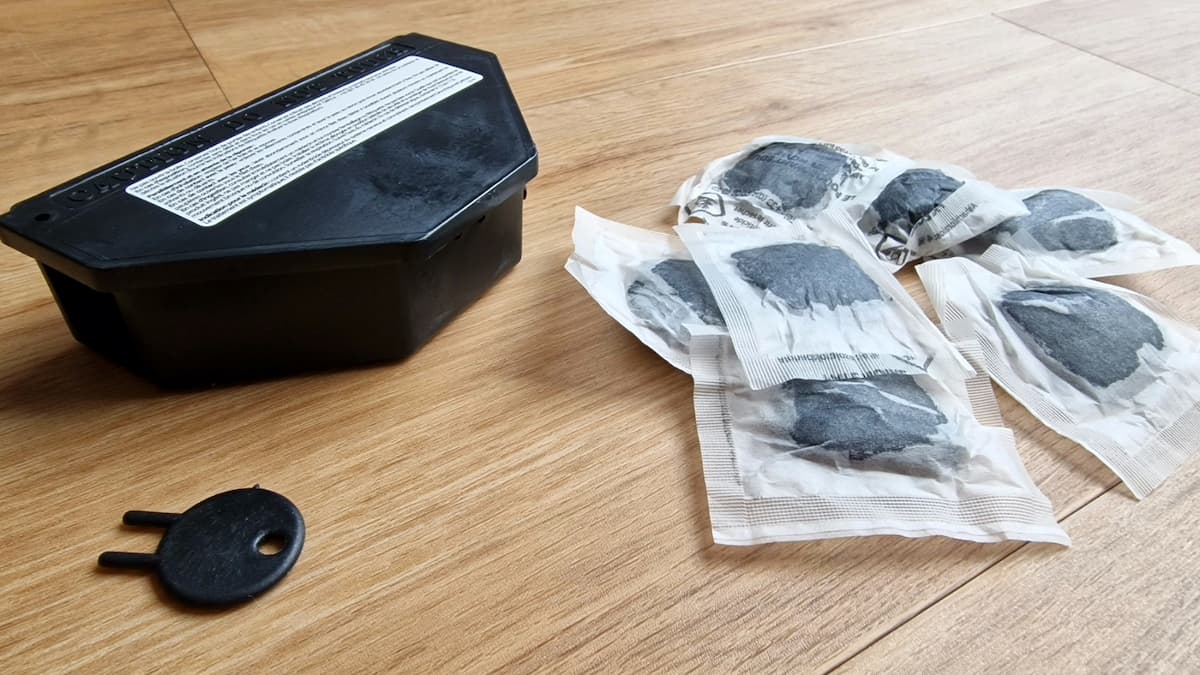 Appats digrain black pearl avec leur boîte sécurisée et la clé d'ouverture du piège