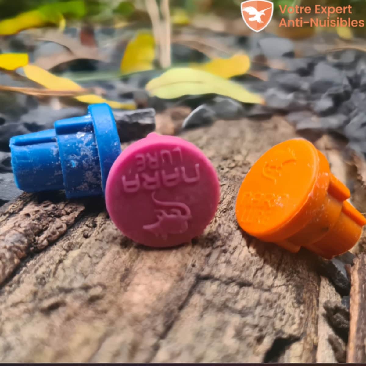 Appâts aromatiques Nara Lure pour rats et souris