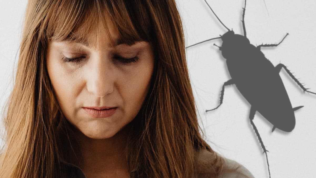 Association des cafards avec une dépression