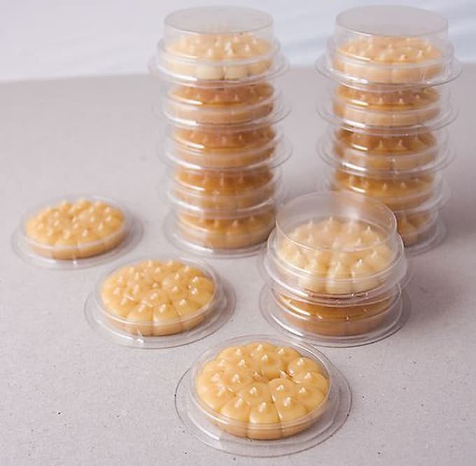 Coupelles pré-remplie de gel d’éloignement anti-pigeons