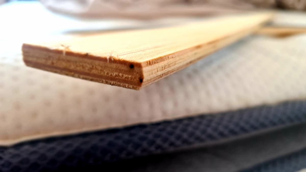 Points noirs sur une planche de bois, témoins d'excréments de punaise de lit