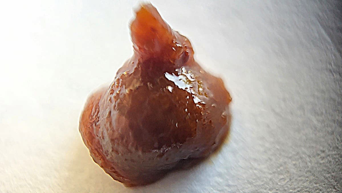 Goutte de gel anti cafard Blantor, zoomée