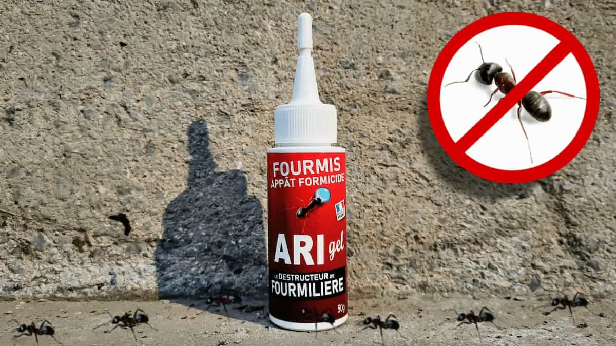 Gel anti fourmi Ari Gel