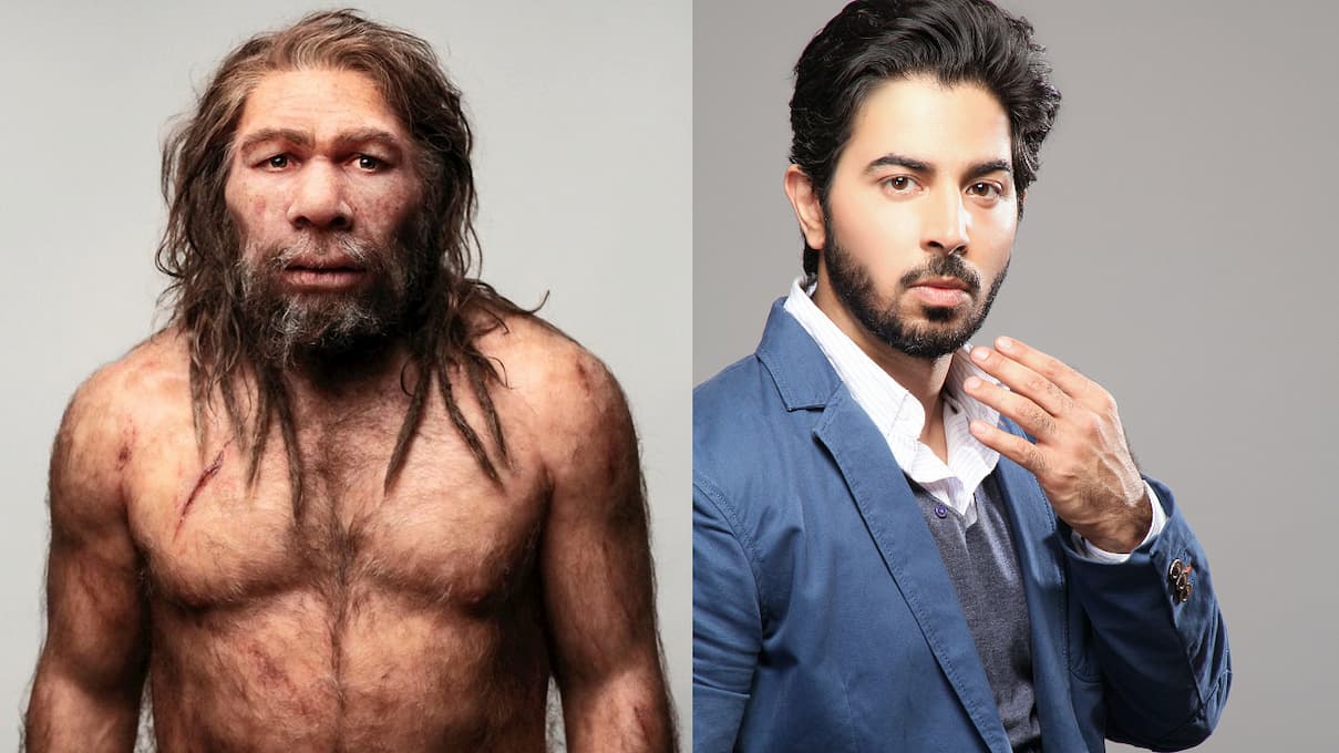 Homo sapiens et homme moderne