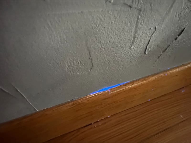 Tâche bleutée révélant une cachette ou un refuge de punaise de lit