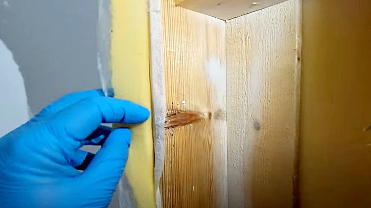 Punaise de lit sur un sommier de lit