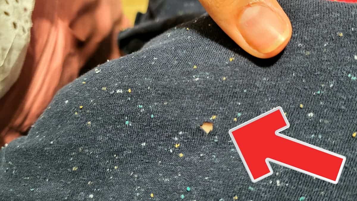 Trou provoqué par une mite du vêtement