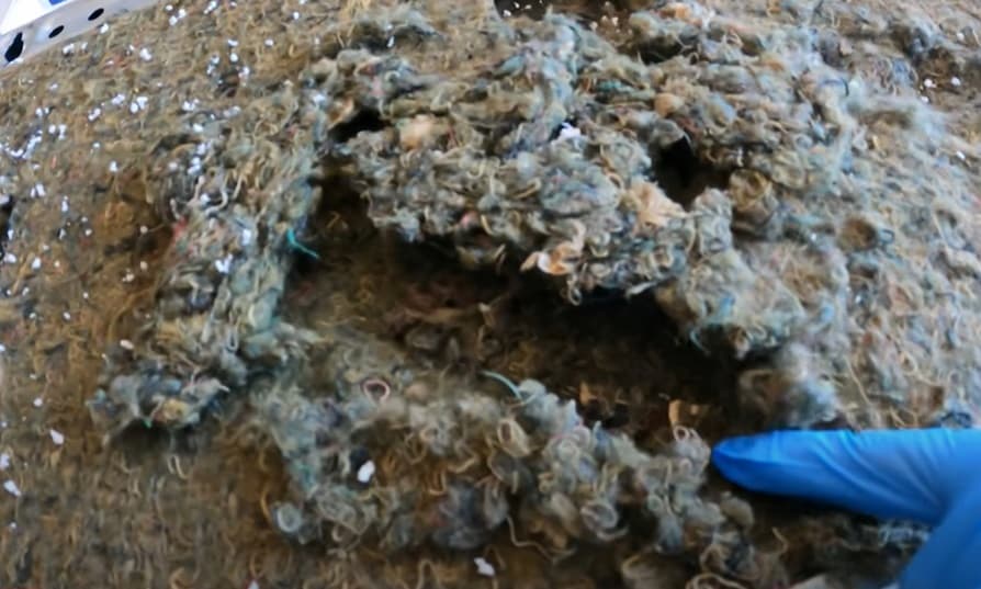 Isolant de lave vaisselle servant de nid de souris