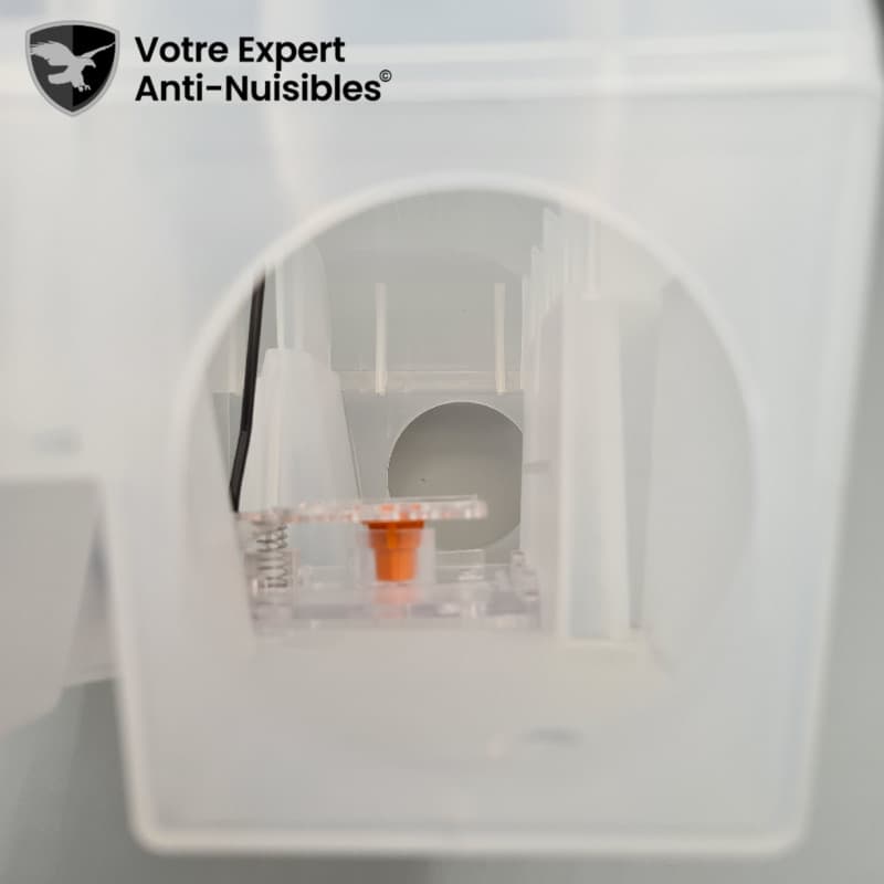 Vue transversale du piège à rat transparent Blantor