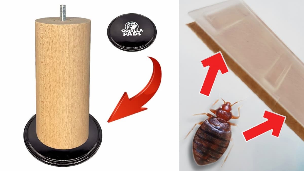 2 types de pièges anti punaises de lit