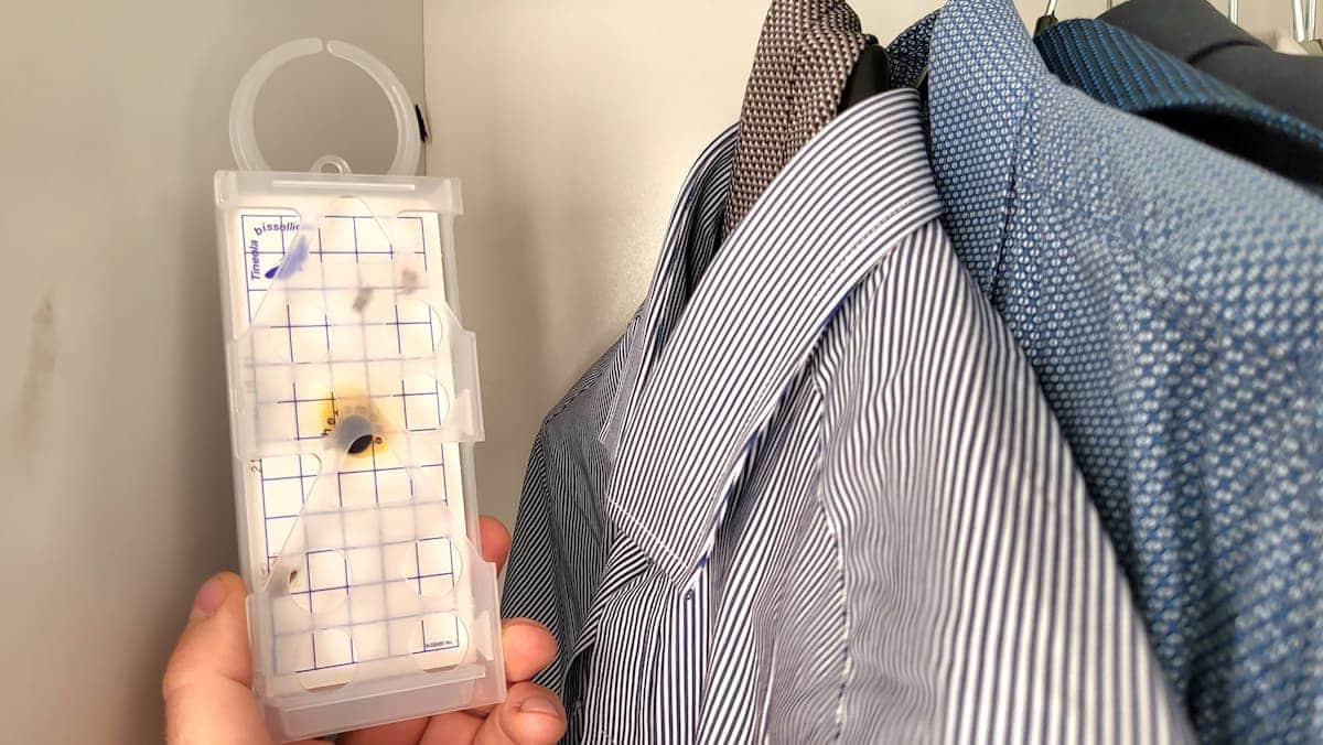 Piège à phéromone Géo-Trap dans une penderie