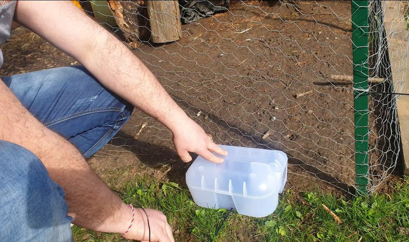 piege-rat-securiposte